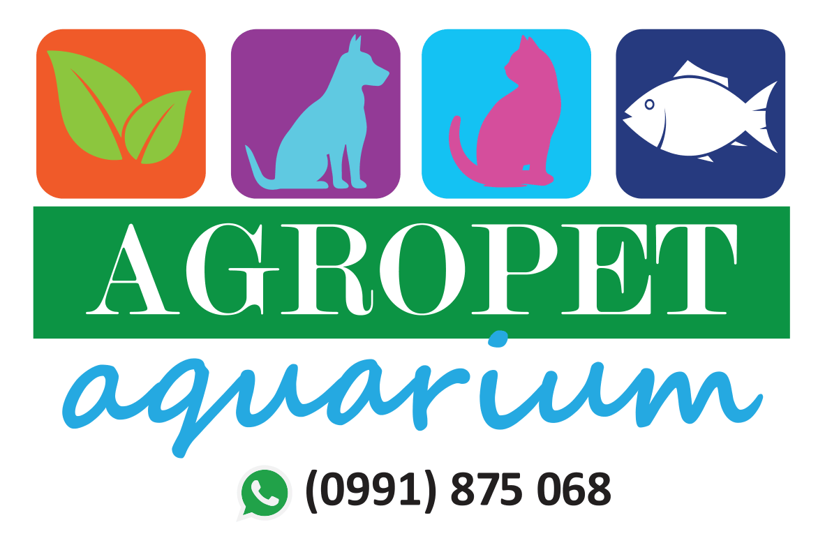 expositores 2026